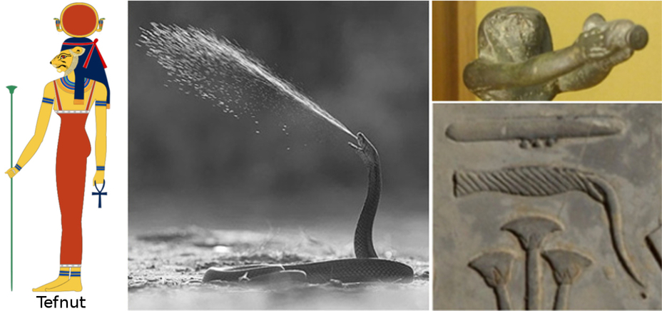 Akhenaten King Heretic Nefertiti Ancient Egyptian Goddess Tefnut of Water Moisture Humidity